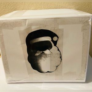 Santa Mystery Christmas decor box